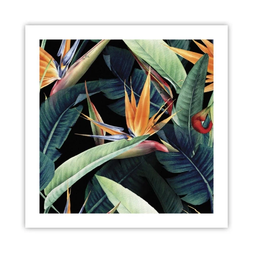 Póster - Flores de llamas de los trópicos - 50x50 cm