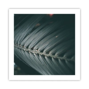 Póster - La precisión de la naturaleza - 50x50 cm