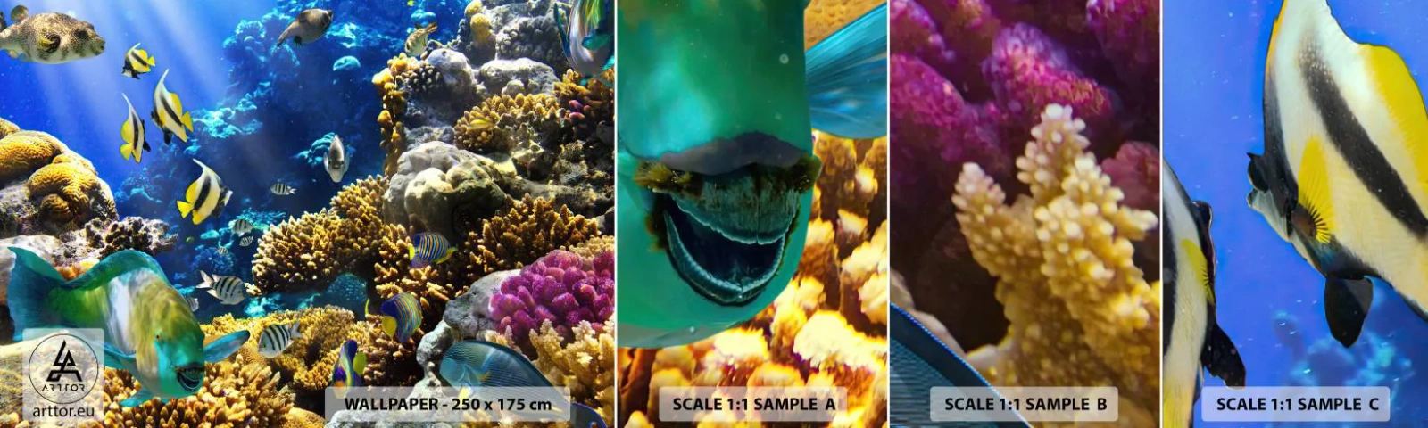 Muestra De Fotomural Standard Eco - Vacaciones submarinas - Arrecife de coral, Océano, Pez - 100x30 cm