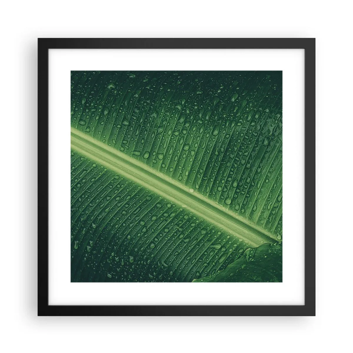 Póster en marco negro - Estructura del verde - 40x40 cm