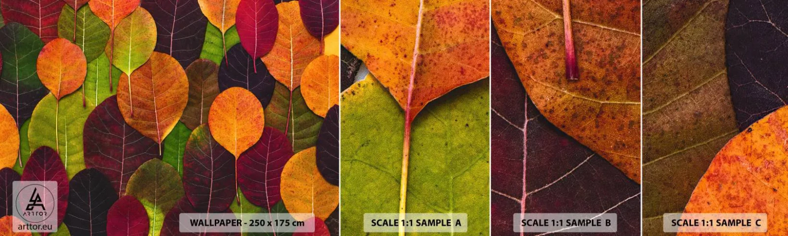 Muestra De Fotomural Standard Eco - Mosaico de otoño - Gráficos, hojas coloridas, Pedazo - 100x30 cm