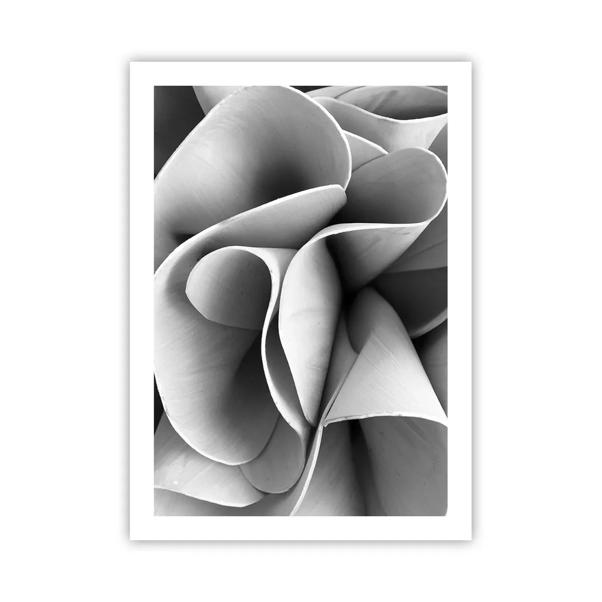 Póster - Pétalos abstractos en tonos grises - 50x70cm - Sucede en el espacio - Decoración de pared moderna para salón y dormitorio ARTTOR