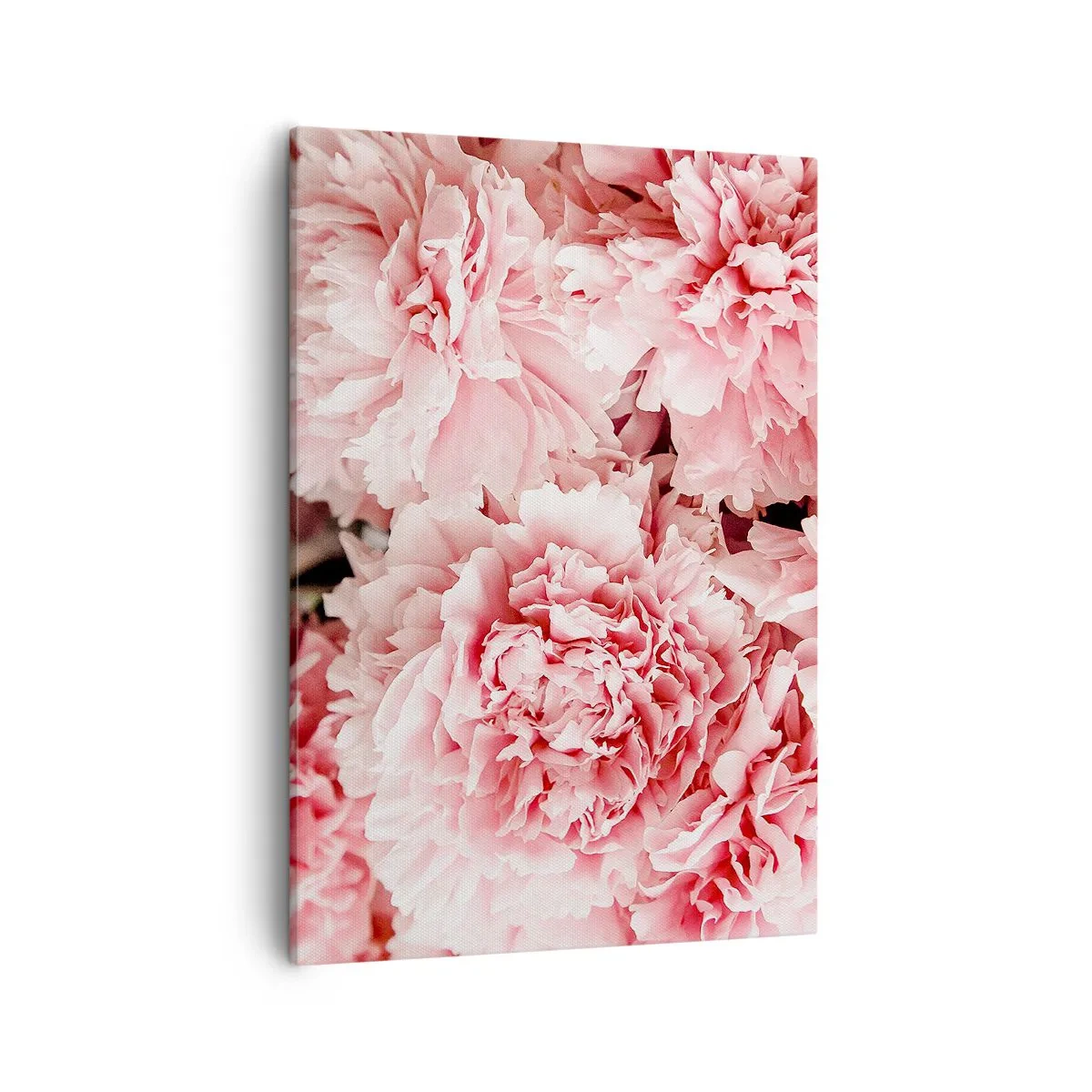 Cuadro sobre lienzo - Impresión de Imagen - Peonías rosas sutiles en un entorno delicado. - 50x70cm - Sueño rosa - Decoración de pared moderna para salón y dormitorio ARTTOR