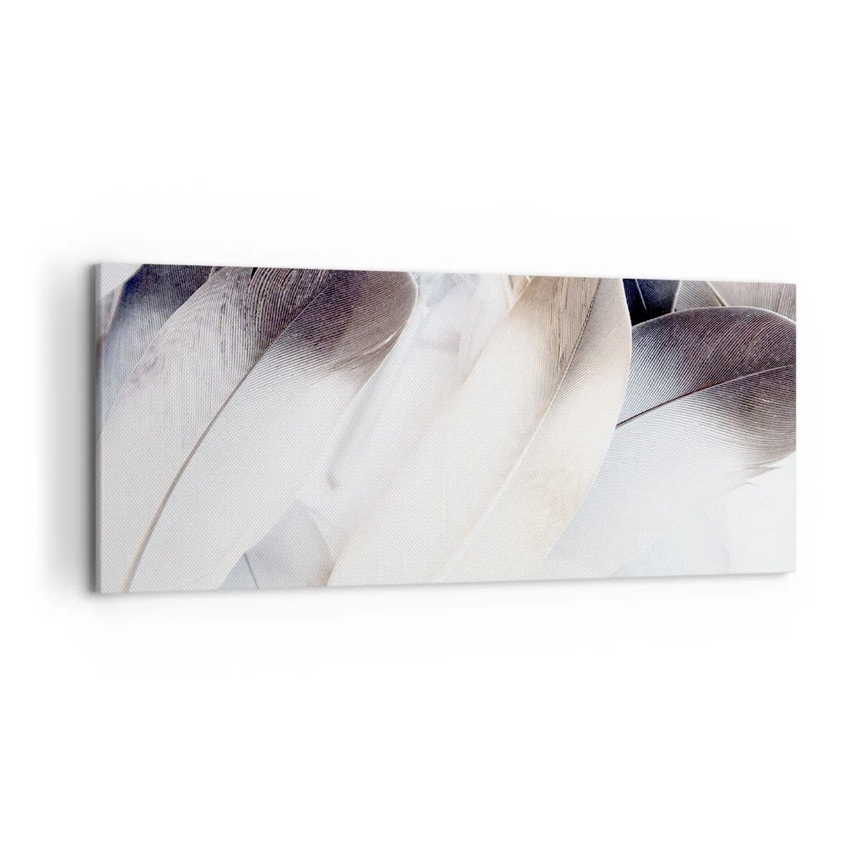 Cuadro sobre lienzo - Impresión de Imagen - Primer plano de delicadas plumas en tonos blancos y grises. - 120x50cm - Casi angelical - Decoración de pared moderna para salón y dormitorio ARTTOR
