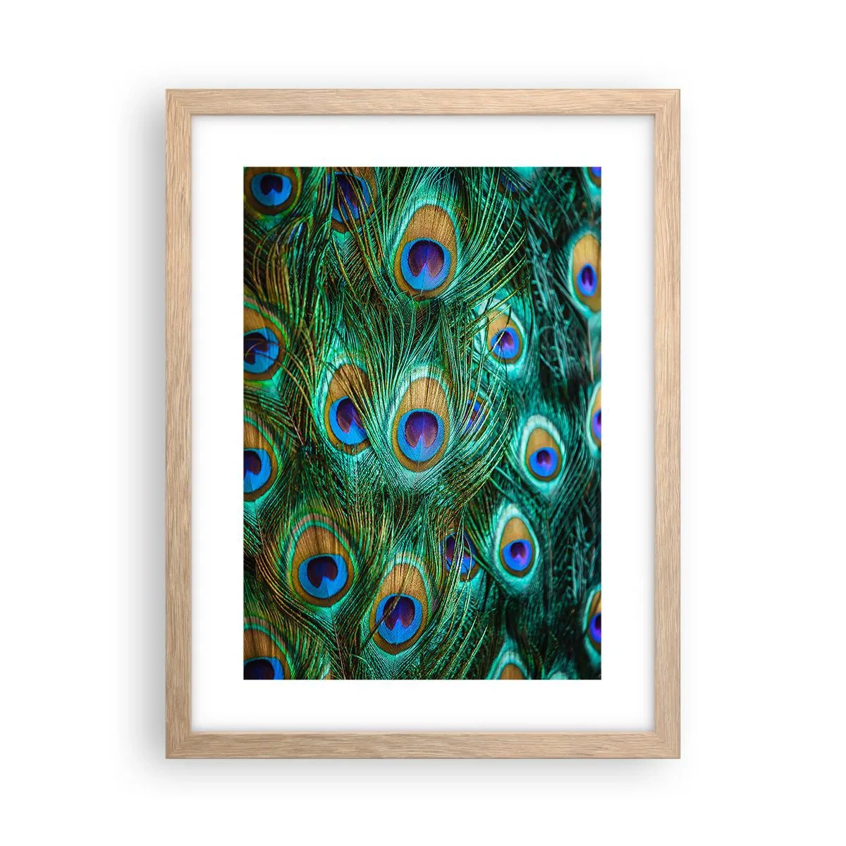 Póster en marco roble claro - Mirada de pavo real - 30x40 cm