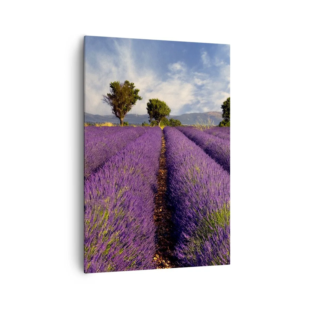 Cuadro sobre lienzo - Impresión de Imagen - Un campo de lavanda con árboles con el telón de fondo de montañas y cielo. - 70x100cm - Campos de lavanda - Decoración de pared moderna para salón y dormitorio ARTTOR