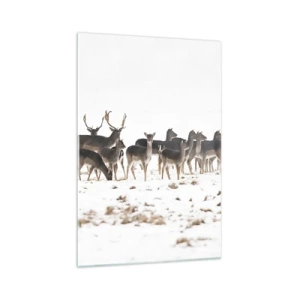 Cuadro sobre vidrio - Impresiones sobre Vidrio - Una manada de ciervos sobre un fondo nevado. - 70x100cm - ¿Se acerca la Navidad? - Decoración de pared moderna para salón y dormitorio ARTTOR