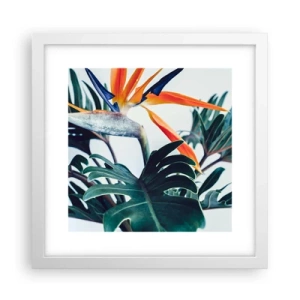Póster en marco blanco - La jaula del pájaro colorido - 30x30 cm