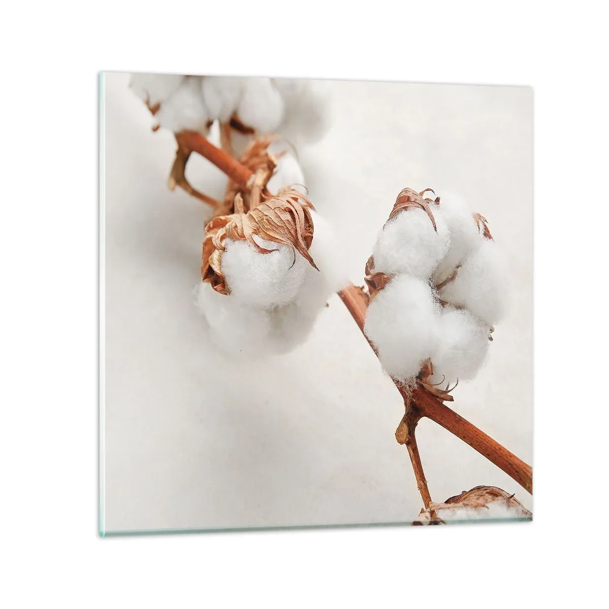 Cuadro sobre vidrio - Impresiones sobre Vidrio - Un suave tacto - 60x60 cm