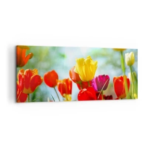 Cuadro sobre lienzo - Impresión de Imagen - Tulipanes coloridos bajo el sol - 120x50cm - Todos los tonos del sol - Decoración de pared moderna para salón y dormitorio ARTTOR