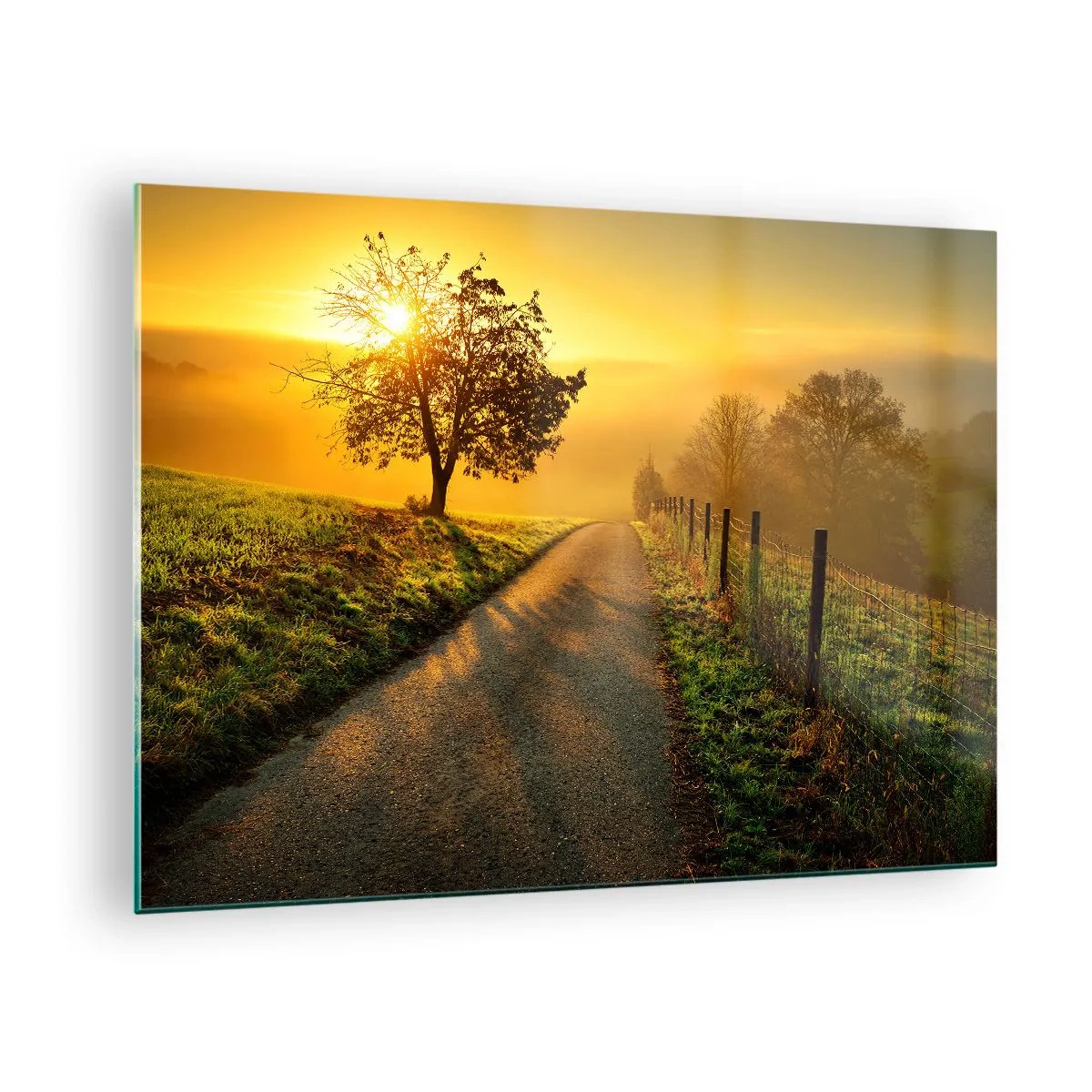 Cuadro sobre vidrio - Impresiones sobre Vidrio - Un camino a través de un paisaje rural al atardecer. - 70x50cm - Tarde melosa - Decoración de pared moderna para salón y dormitorio ARTTOR