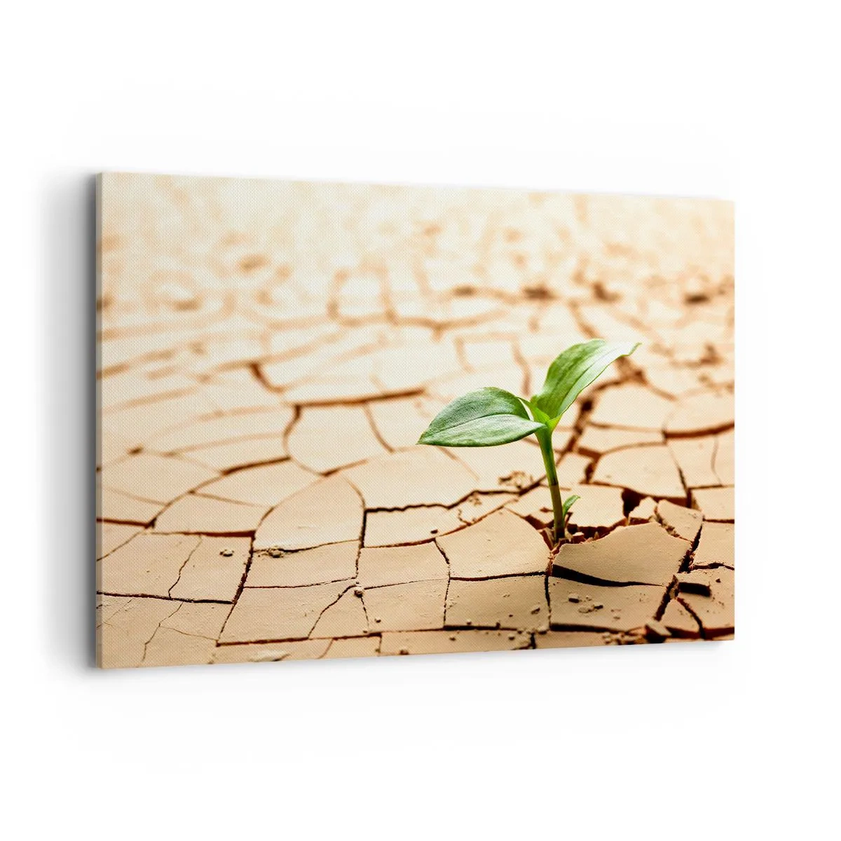 Cuadro sobre lienzo - Impresión de Imagen - Una planta verde que crece en tierra seca y agrietada. - 120x80cm - El poder indomable de la vida - Decoración de pared moderna para salón y dormitorio ARTTOR