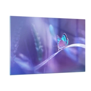 Cuadro sobre vidrio - Impresiones sobre Vidrio - Mariposa sobre un fondo de luz violeta - 120x80cm - Una joya de la naturaleza - Decoración de pared moderna para salón y dormitorio ARTTOR
