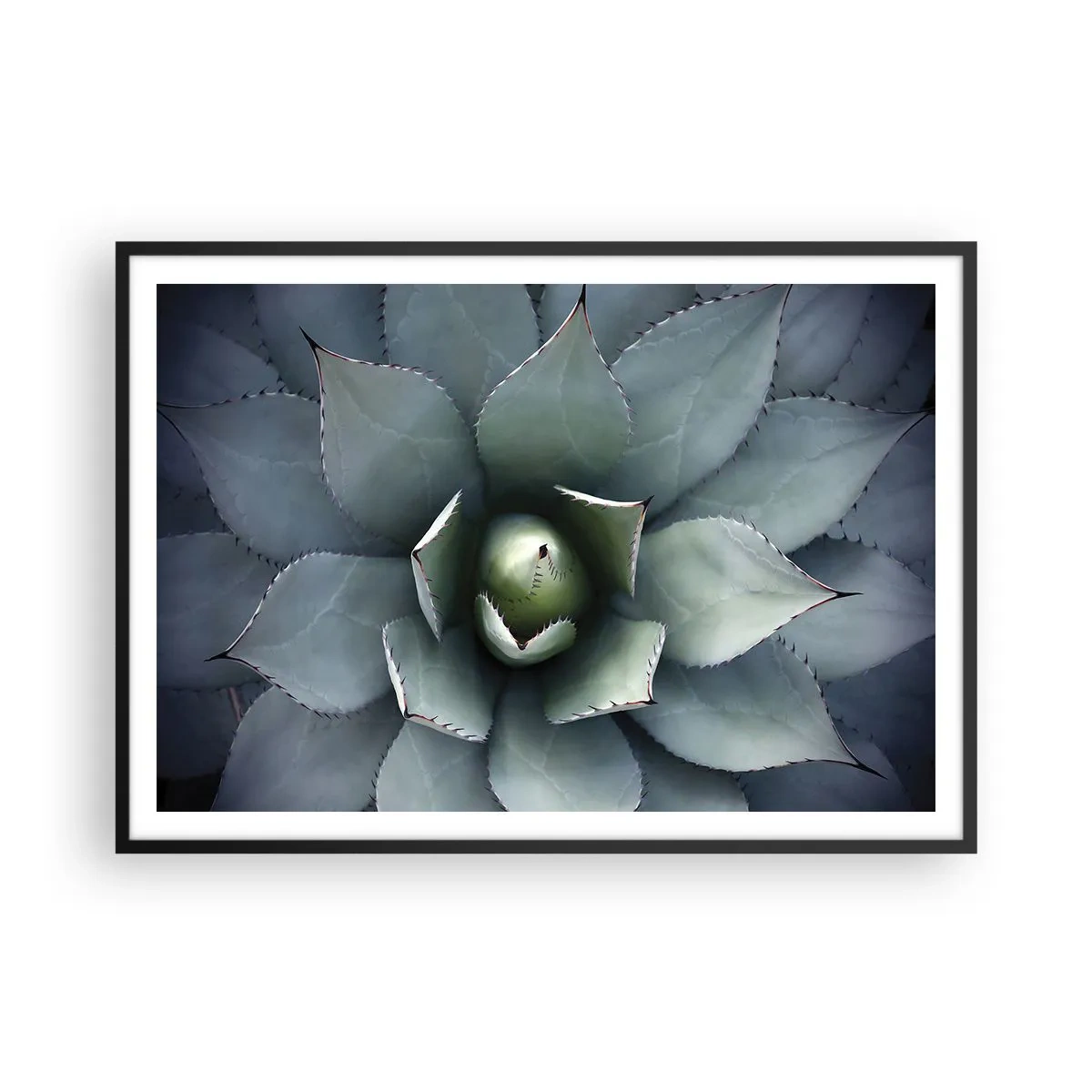Póster en marco negro - Primer plano de una roseta de agave en delicados tonos verdes. - 100x70cm - Perfección natural - Decoración de pared moderna para salón y dormitorio ARTTOR