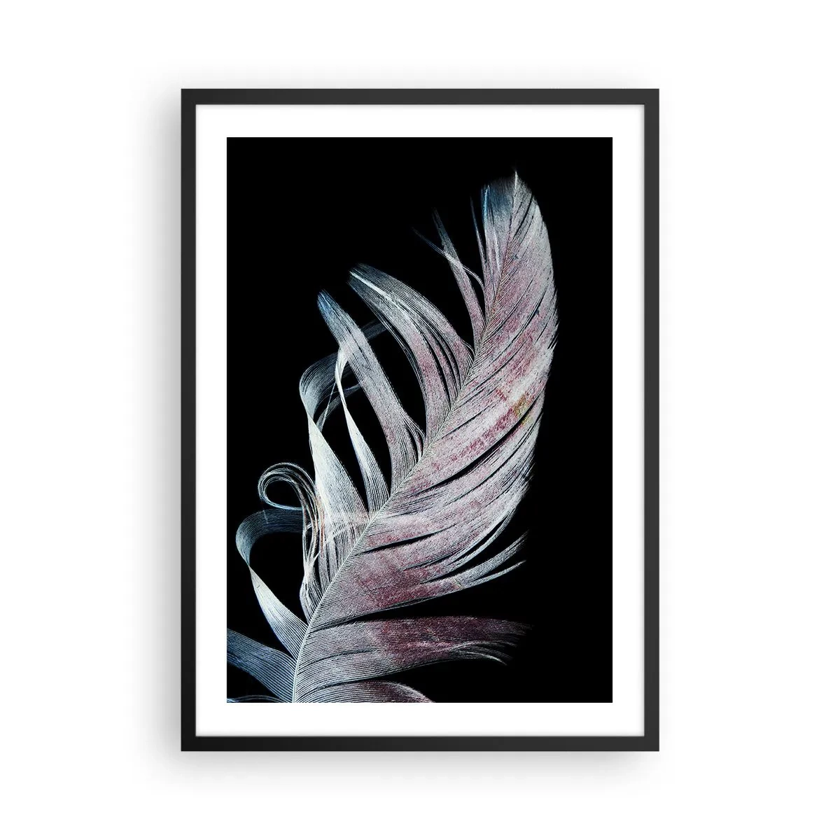 Póster en marco negro - Una pluma en delicados tonos rosa y azul sobre un fondo negro. - 50x70cm - Piensa en el tacto - Decoración de pared moderna para salón y dormitorio ARTTOR