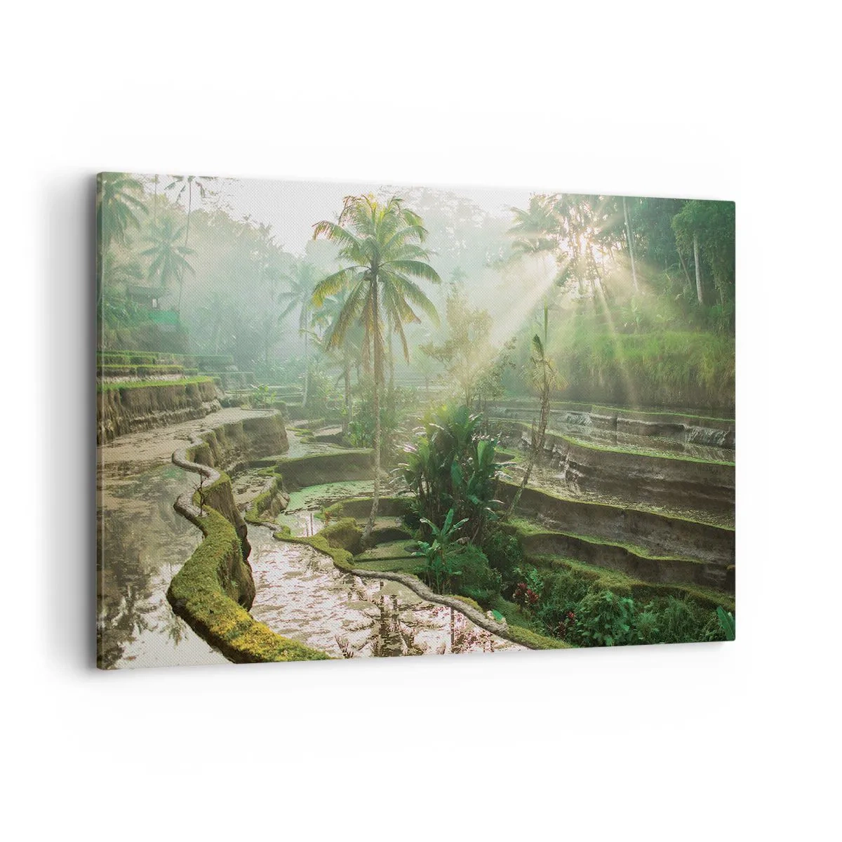Cuadro sobre lienzo - Impresión de Imagen - Terrazas de arroz con palmeras bajo los rayos del sol - 120x80cm - Crecer bajo el sol - Decoración de pared moderna para salón y dormitorio ARTTOR