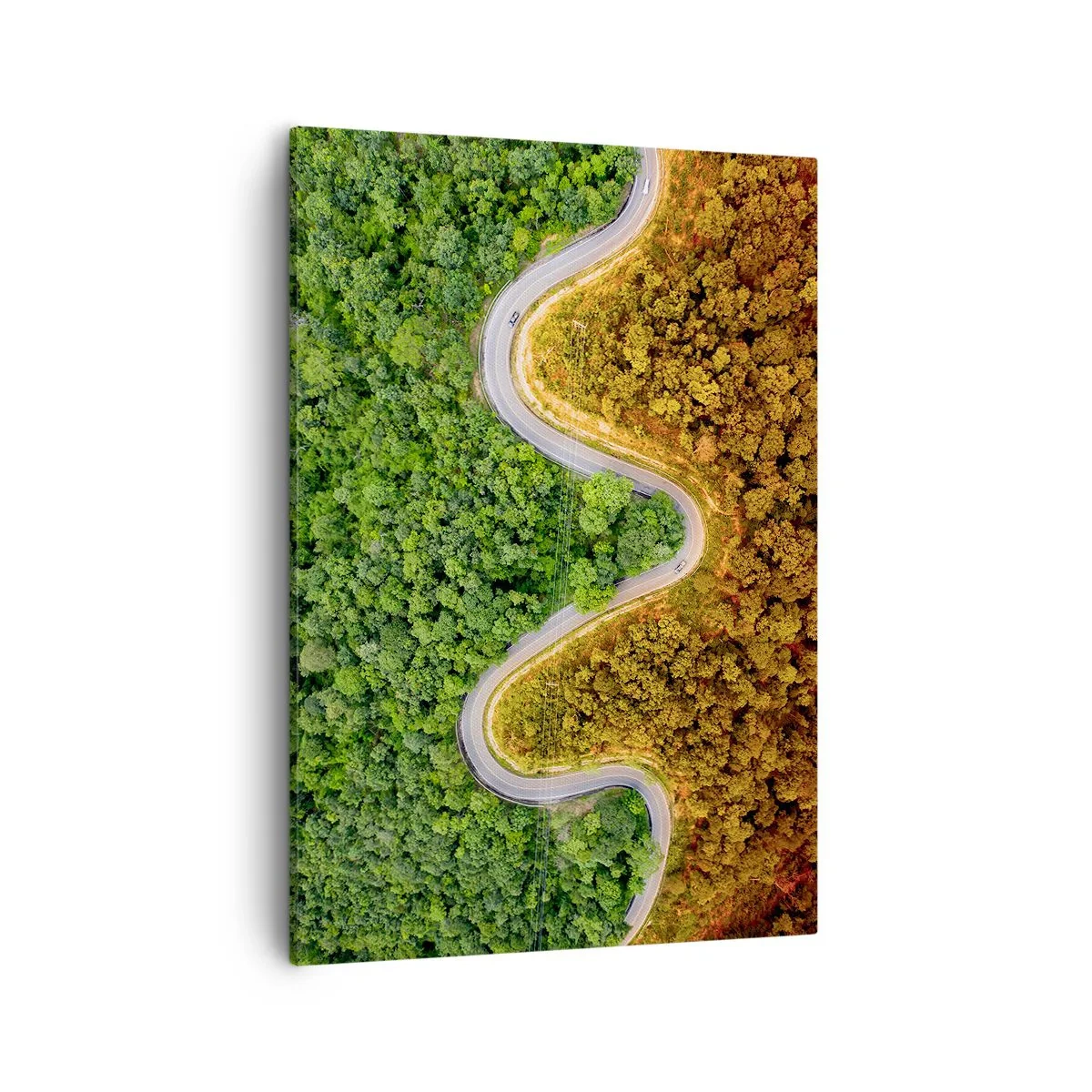 Cuadro sobre lienzo - Impresión de Imagen - Un camino sinuoso a través del bosque visto a vista de pájaro. - 50x70cm - Frontera serpenteante - Decoración de pared moderna para salón y dormitorio ARTTOR
