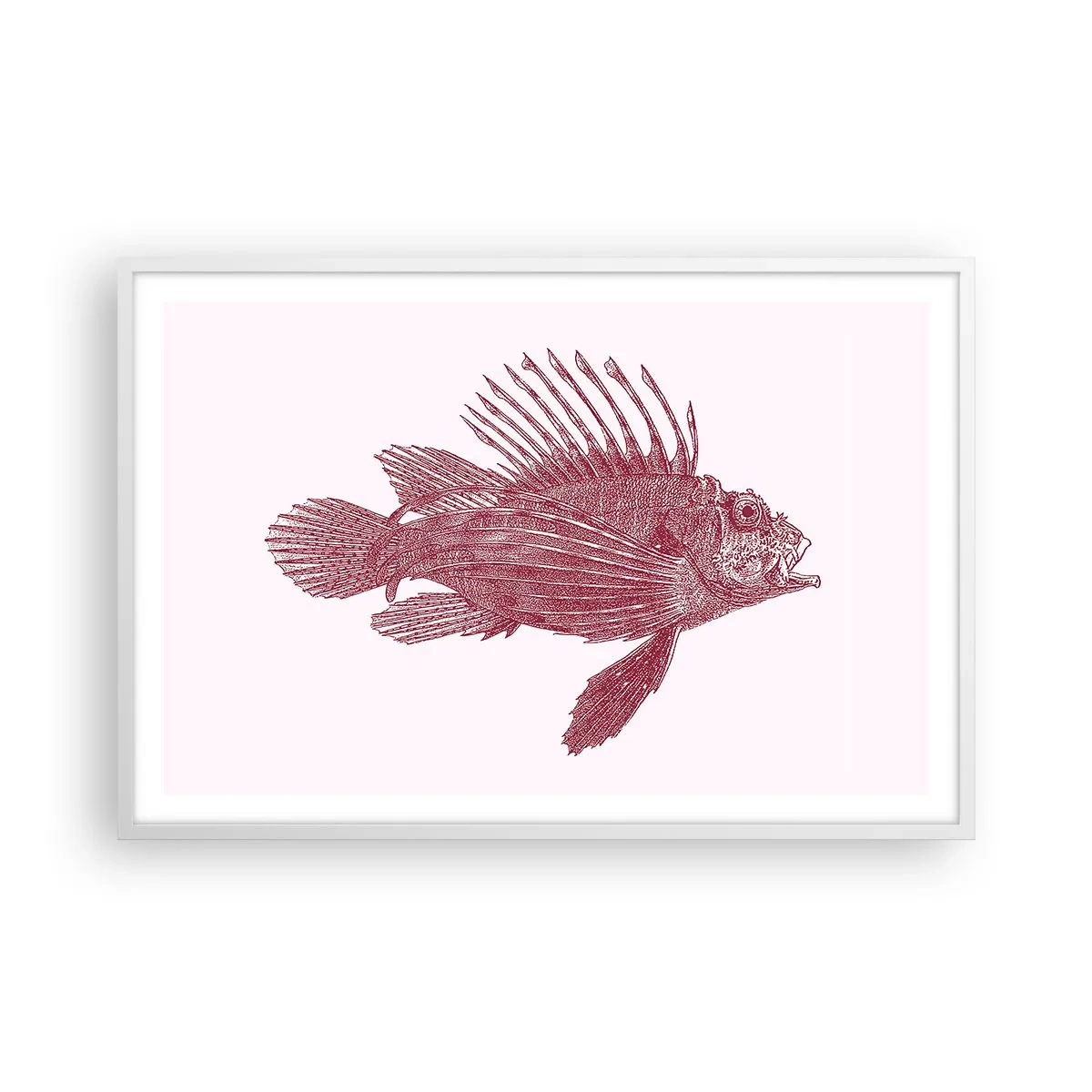 Póster en marco blanco - Un habitante de aguas exóticas - 91x61 cm