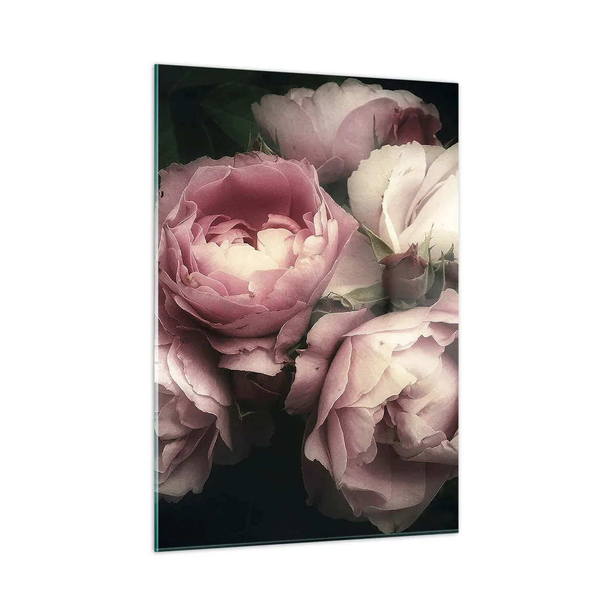 Cuadro sobre vidrio - Impresiones sobre Vidrio - Un ramo de rosas rosadas bajo una iluminación suave con un toque vintage. - 50x70cm - El encanto de la belle époque - Decoración de pared moderna para salón y dormitorio ARTTOR