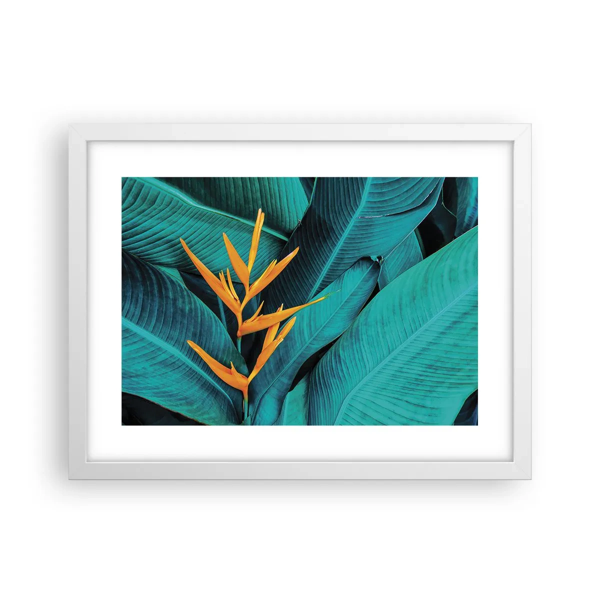 Póster en marco blanco - Flor del Edén - 40x30 cm