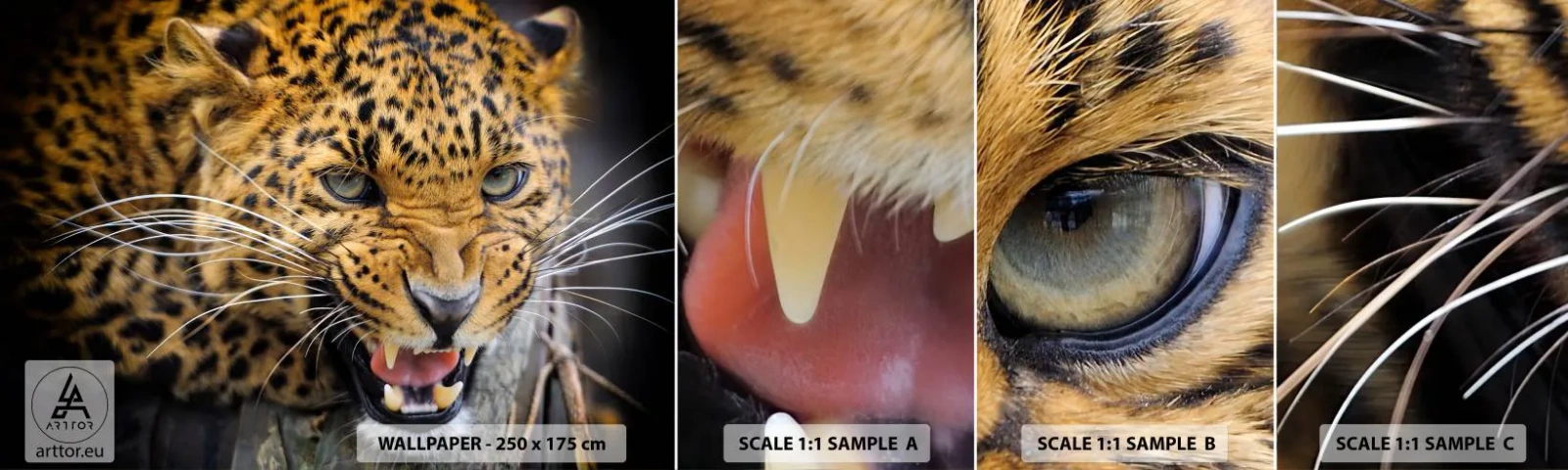 Muestra de fotomural autoadhesivo Deluxe Sticker - ¡Atrás, te lo advierto! - animales, leopardo, gato salvaje - 100x30 cm