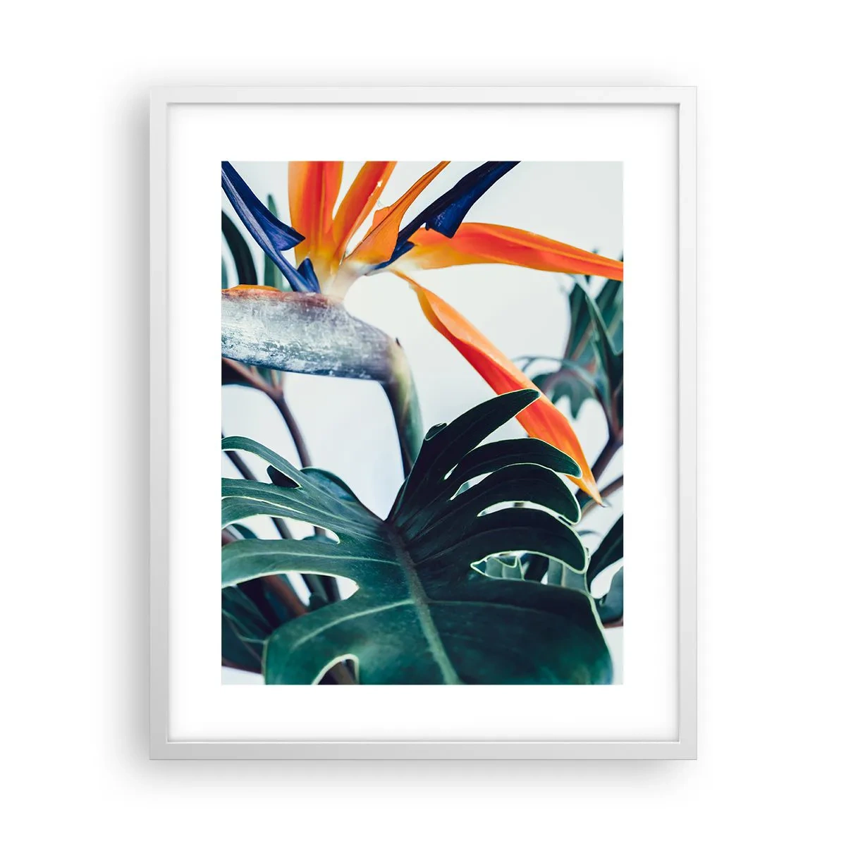 Póster en marco blanco - La jaula del pájaro colorido - 40x50 cm