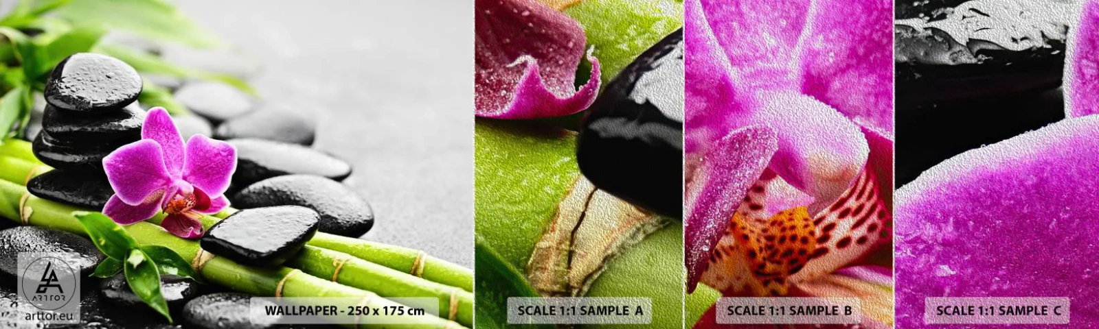 Muestra de fotomural Premium Sand - En equilibrio pacífico - flores, Orquídea, Orquídea - 100x30 cm