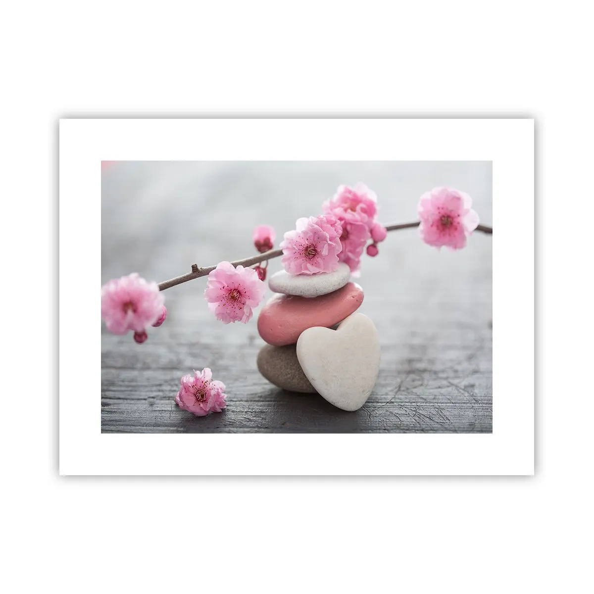 Póster - Felicidad con la flor del cerezo - 40x30 cm