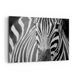 Cuadro sobre lienzo - Impresión de Imagen - Un primer plano en blanco y negro de una cebra con sus distintivas rayas. - 100x70cm - El mundo es blanco y negro - Decoración de pared moderna para salón y dormitorio ARTTOR