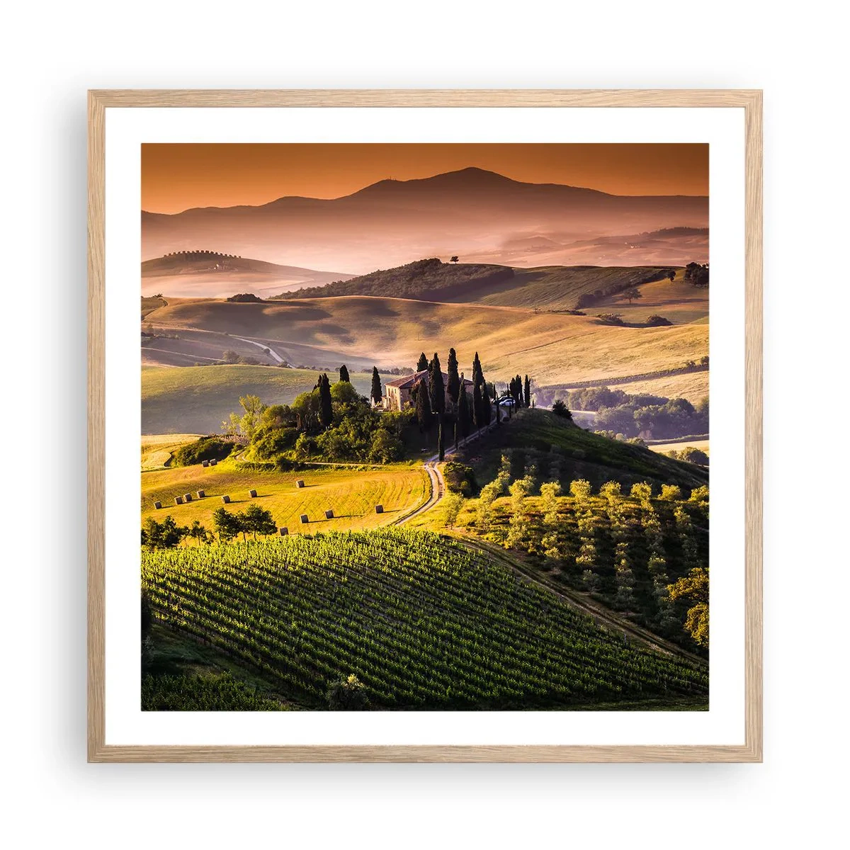 Póster en marco roble claro - Paisaje toscano - 60x60 cm