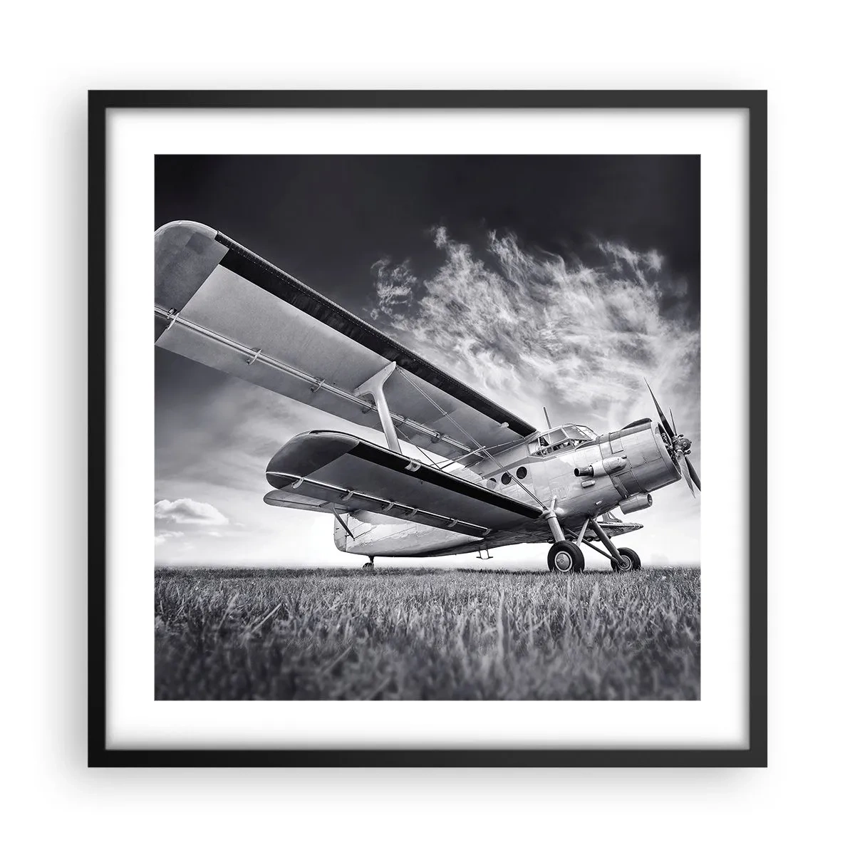 Póster en marco negro - El vagamundo alado - 50x50 cm