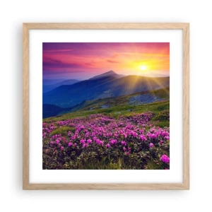 Póster en marco roble claro - ... Y el aroma a hierbas está por todas partes - 40x40 cm