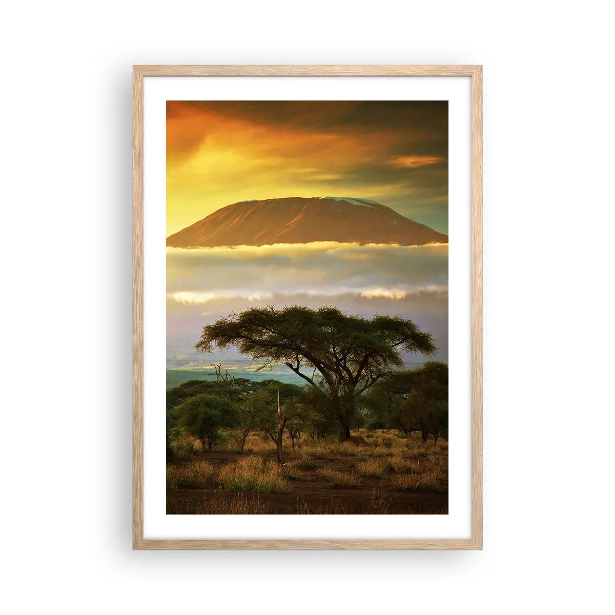 Póster en marco roble claro - El sueño del viajero - 50x70 cm