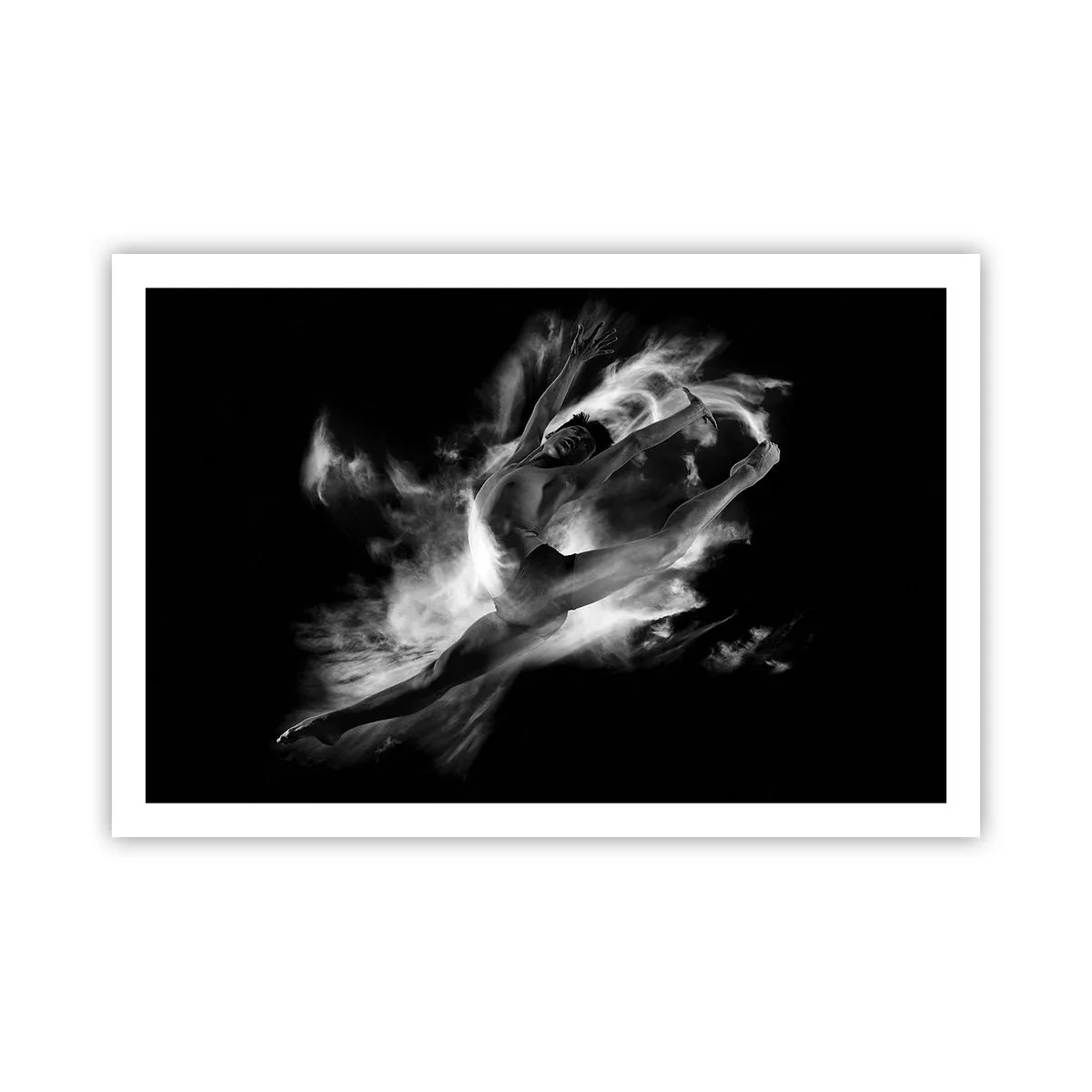 Póster - El arte del vuelo - 91x61 cm