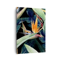 70x100 cm | Vertical
