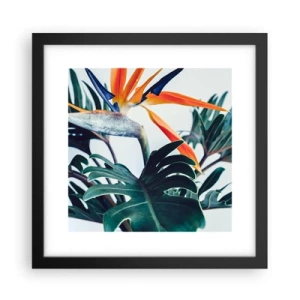 Póster en marco negro - La jaula del pájaro colorido - 30x30 cm