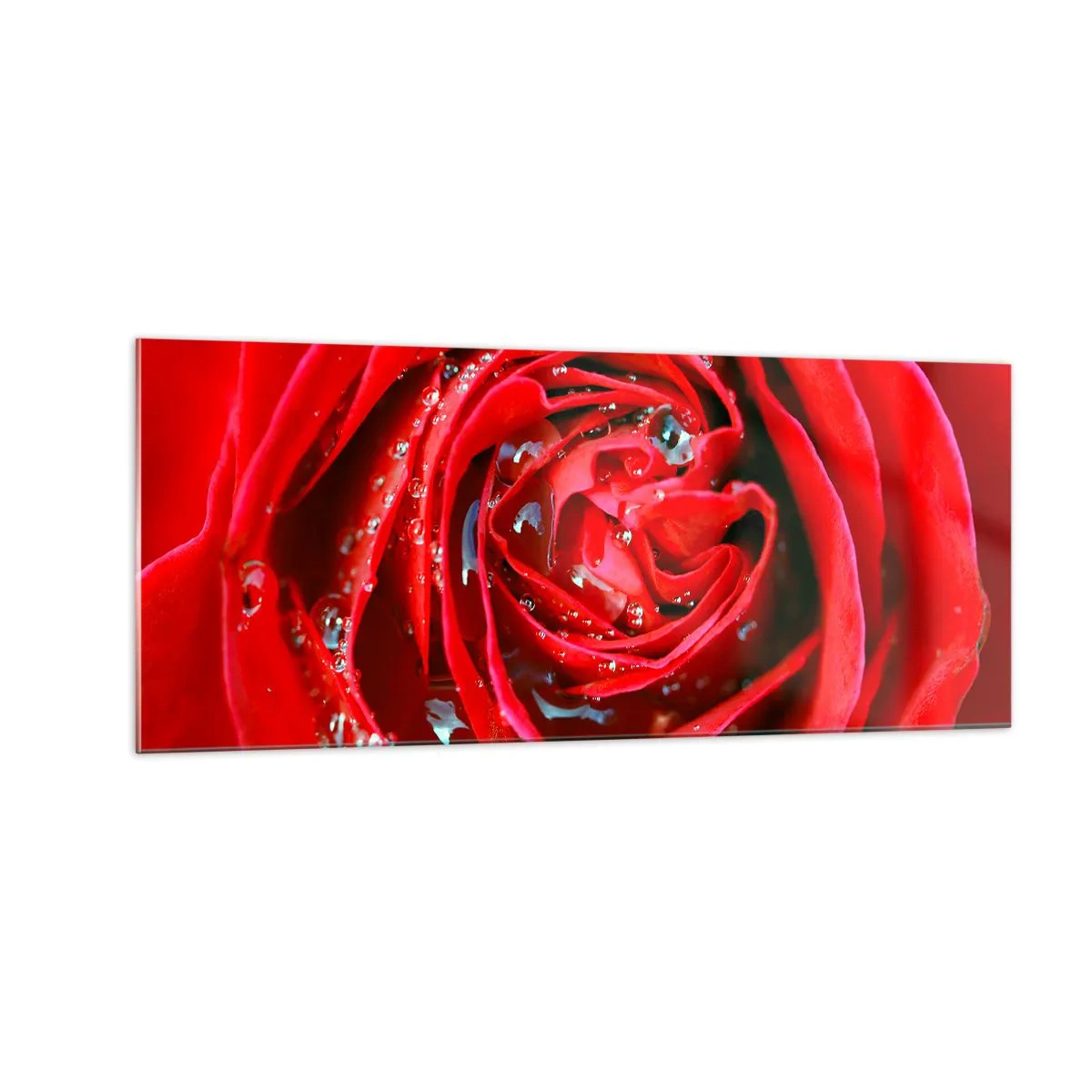 Cuadro sobre vidrio - Impresiones sobre Vidrio - En gotas de rocío - 100x40 cm