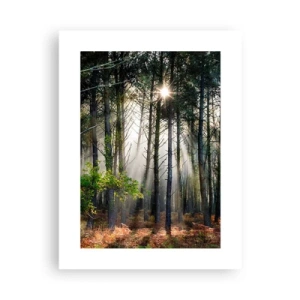 Póster - La belleza del bosque - 30x40 cm