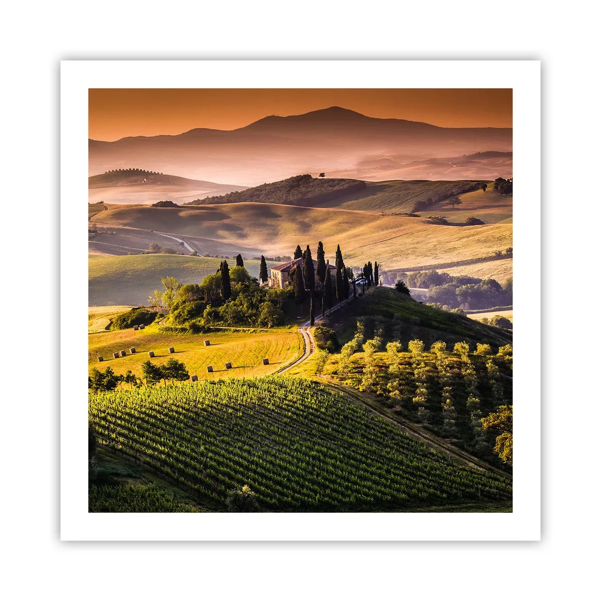 Póster - Paisaje toscano - 60x60 cm