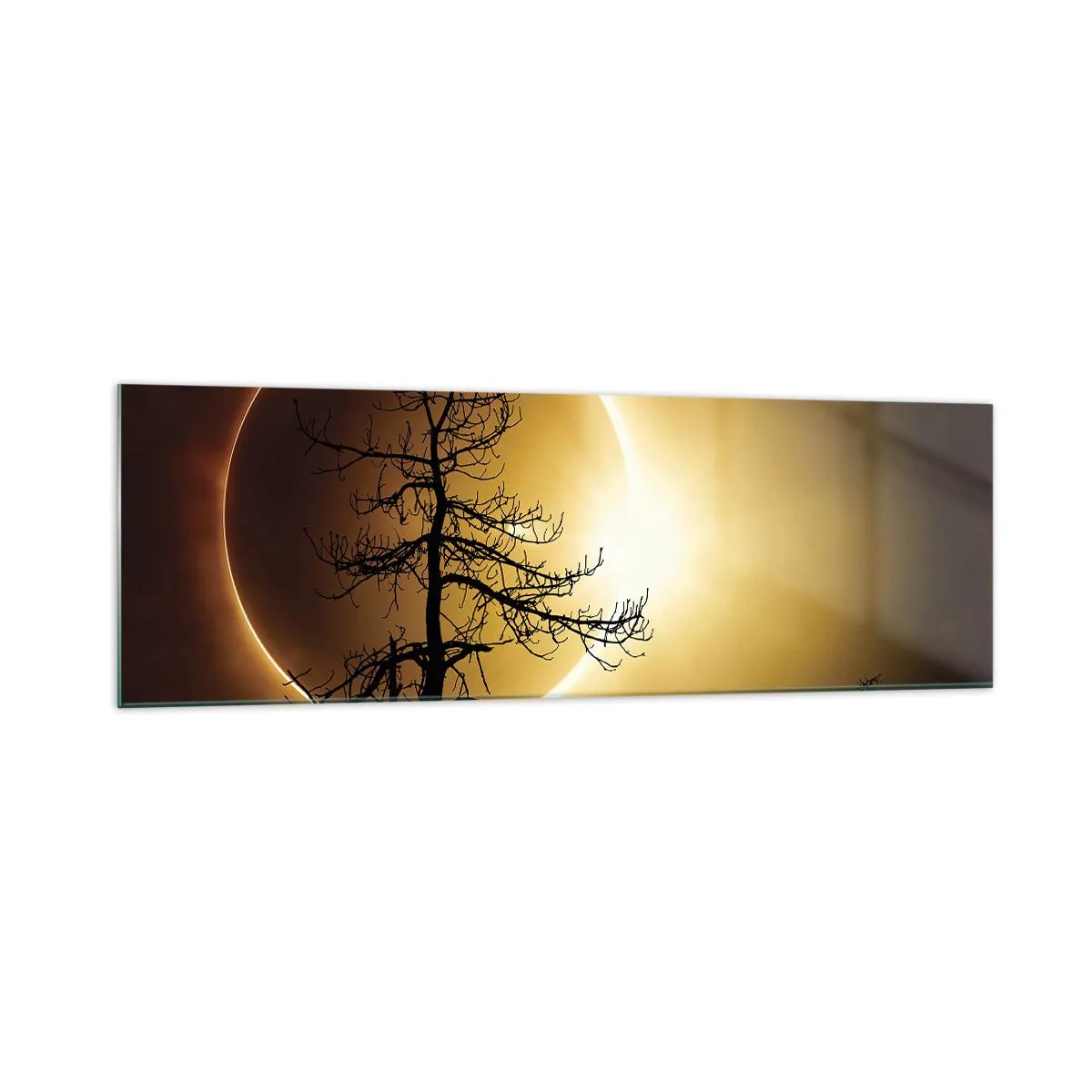 Cuadro sobre vidrio - Impresiones sobre Vidrio - Eclipse solar con una silueta de árbol en primer plano - 160x50cm - Eclipse total - Decoración de pared moderna para salón y dormitorio ARTTOR