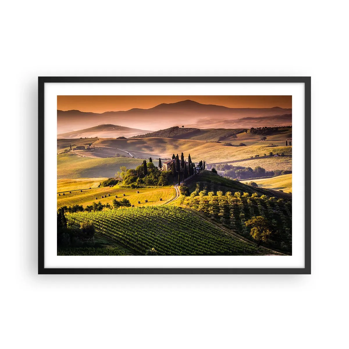 Póster en marco negro - Paisaje toscano con viñedos y una casa en una colina. - 70x50cm - Paisaje toscano - Decoración de pared moderna para salón y dormitorio ARTTOR