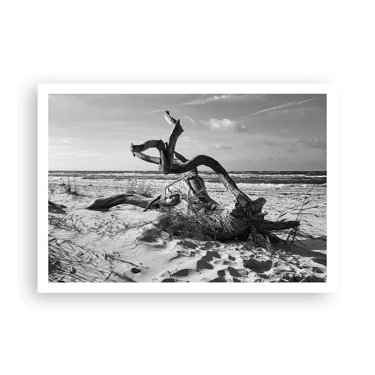 Póster - Paisaje en blanco y negro con un árbol muerto en la playa. - 100x70cm - Escultura marina - Decoración de pared moderna para salón y dormitorio ARTTOR