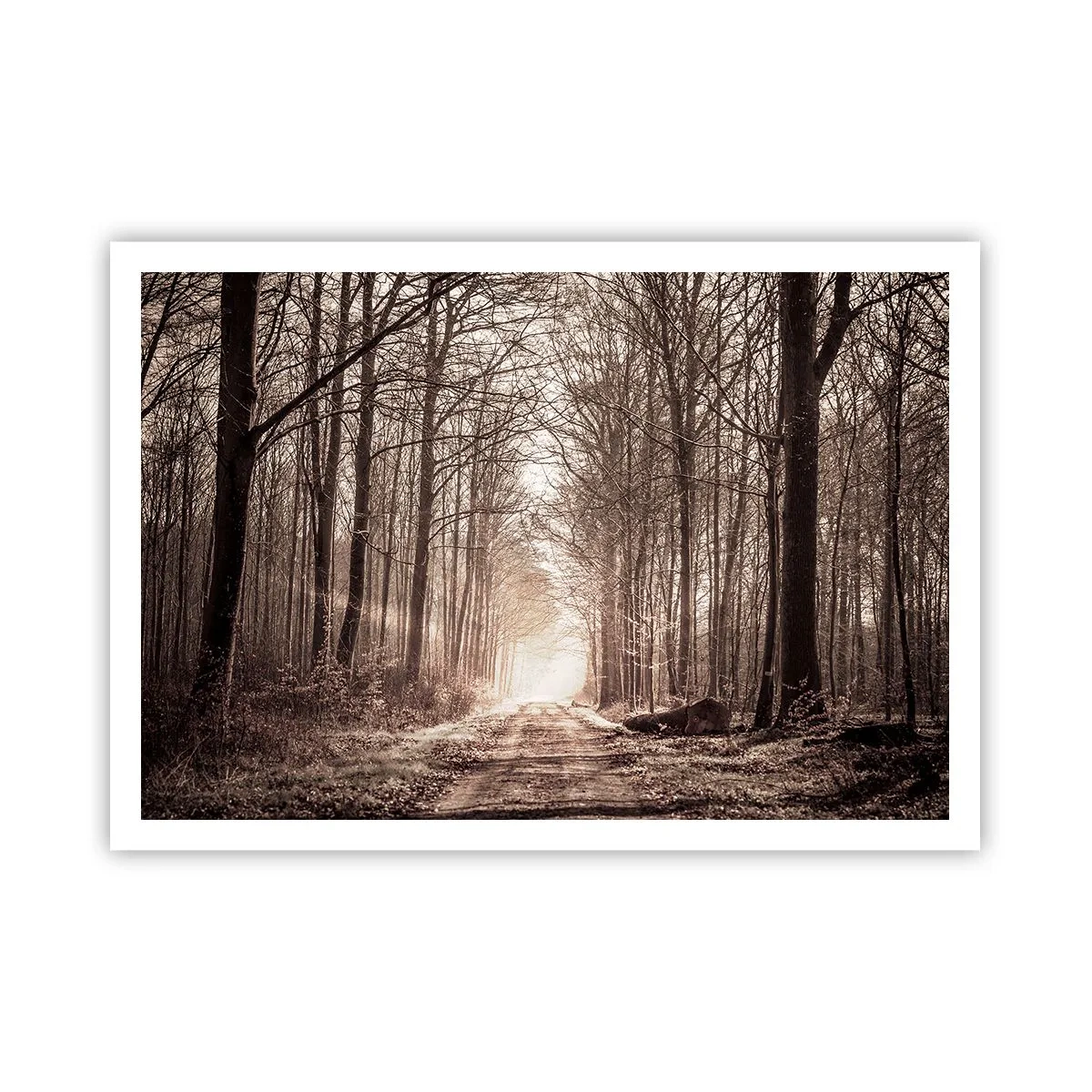 Póster - Un sendero forestal entre árboles en tonos sepia. - 100x70cm - La catedral del bosque - Decoración de pared moderna para salón y dormitorio ARTTOR