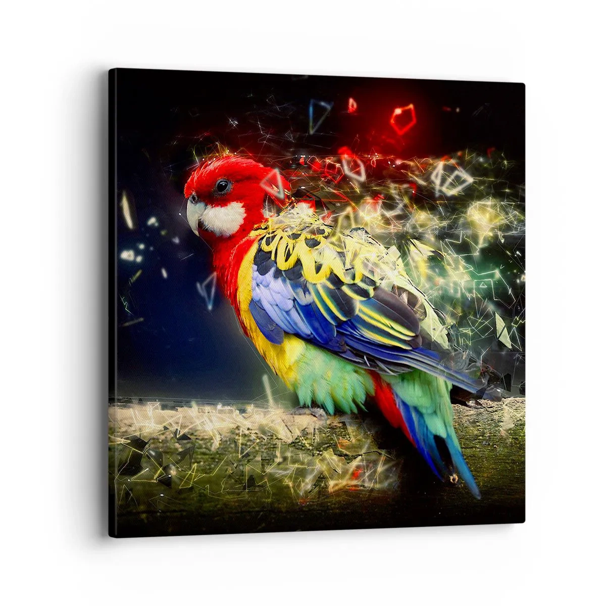 Cuadro sobre lienzo - Impresión de Imagen - Un mensajero del glamour - 40x40 cm