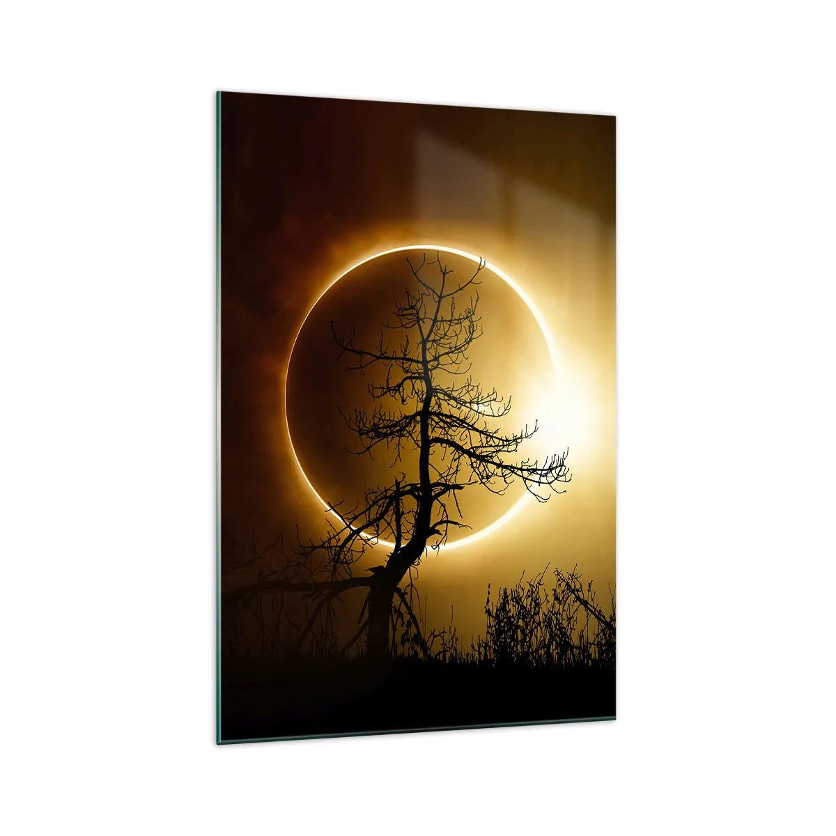 Cuadro sobre vidrio - Impresiones sobre Vidrio - Eclipse solar con una silueta de árbol en primer plano - 70x100cm - Eclipse total - Decoración de pared moderna para salón y dormitorio ARTTOR