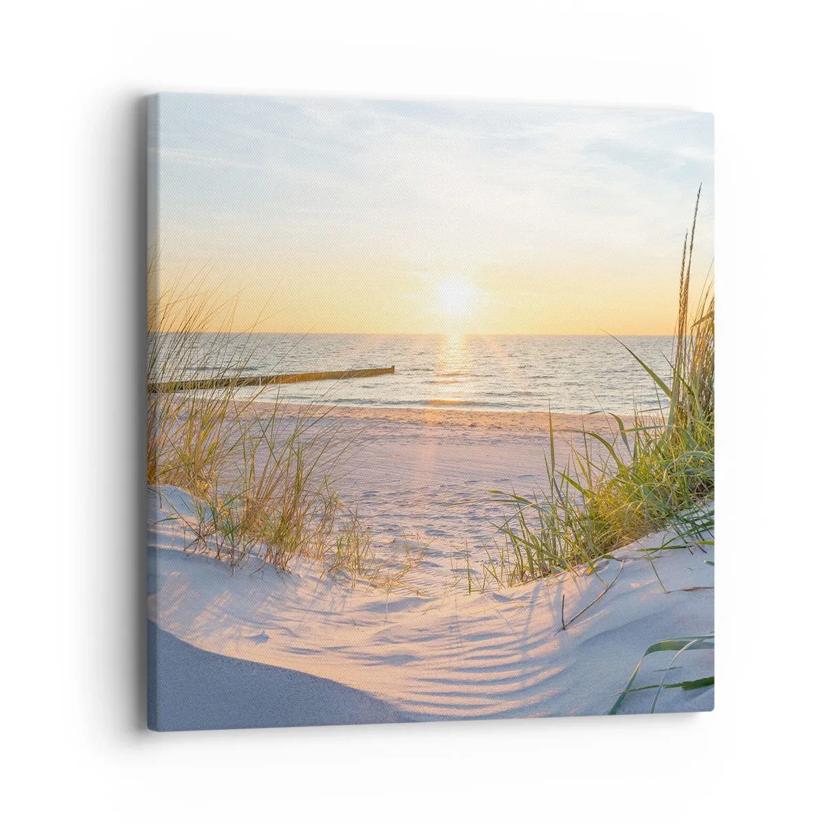 Cuadro sobre lienzo - Impresión de Imagen - El sonido del mar, el canto de los pájaros, una playa virgen entre las dunas... - 40x40 cm
