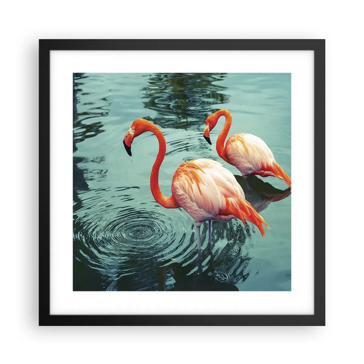 Póster en marco negro - Estamos de moda - 40x40 cm