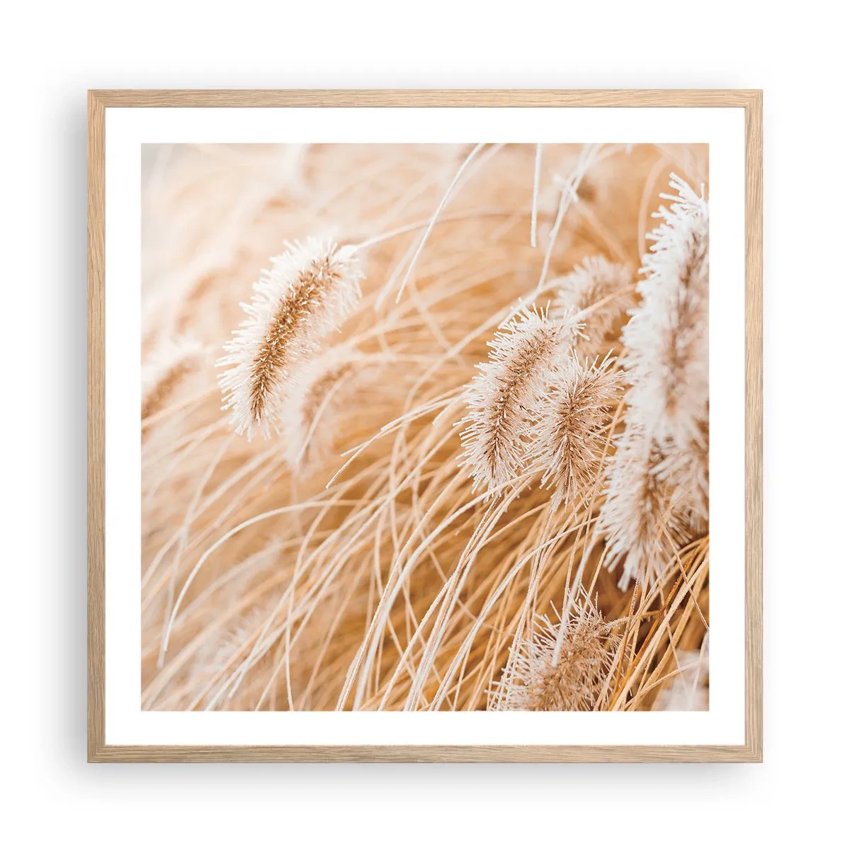 Póster en marco roble claro - El dorado susurro de las hierbas - 60x60 cm