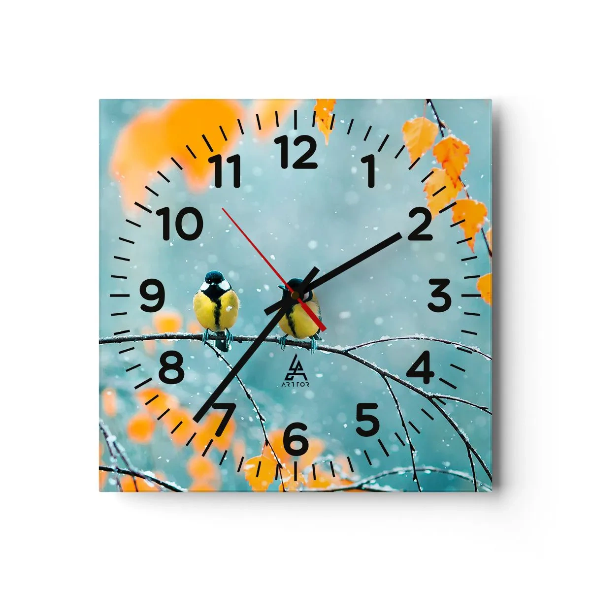 Reloj de pared - Reloj de vidrio - Cotilleo de pájaros - 30x30 cm