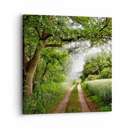 Cuadro sobre lienzo - Impresión de Imagen - Ensueño - 30x30 cm